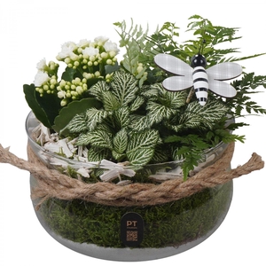 Arr.    Planten  L%