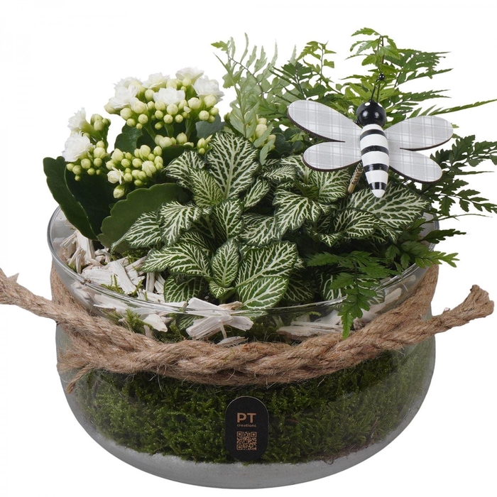 <h4>Arr.    Planten  L%</h4>