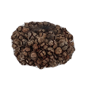 Nature Cypresse Natural P/kg
