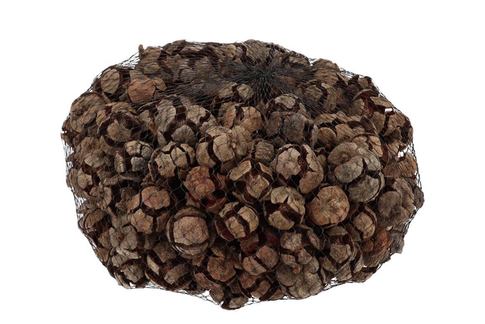 Nature Cypresse Natural P/kg