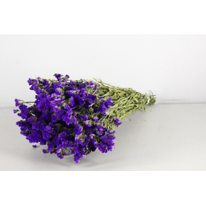 DF Statice Blue Bs