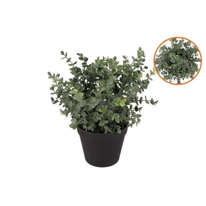Silk Eucalyptus Green In Pot L 30x30x38cm