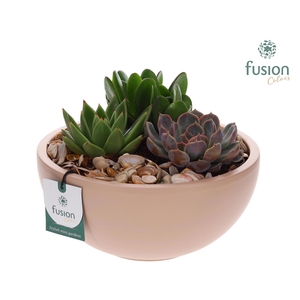 Schaal keramiek Moon Large met Arrangement