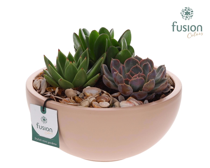 <h4>Schaal keramiek Moon Large met Arrangement</h4>