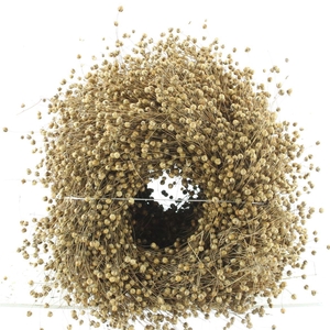 Wreath Dried Flax 30cm
