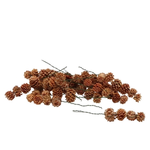 Pick Nature Salignum String 5dlg P/50