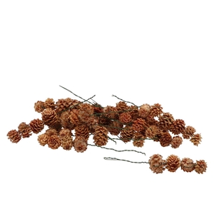 Pick Nature Salignum String 5dlg P/50