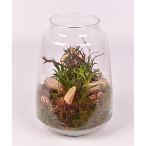 Glas cilinder Zef met hals 16cm