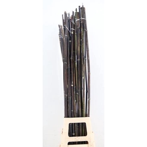 BAMBOE STOK BLACK 125CM