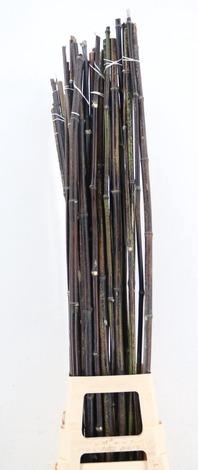 <h4>BAMBOE STOK BLACK 125CM</h4>