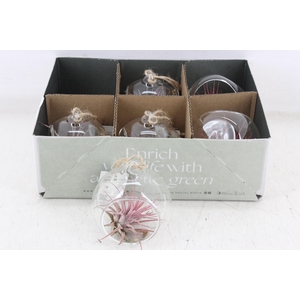 arr3 CP - Mini glas bol x6