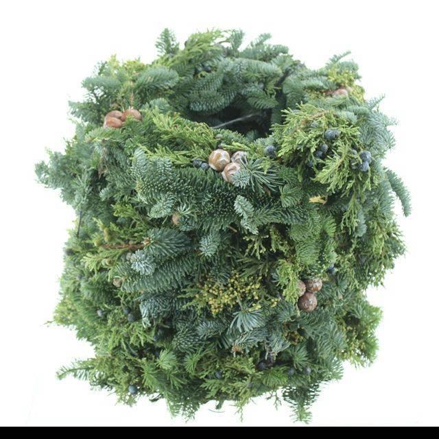 <h4>KRANS HALF GEBOND H%</h4>