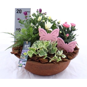 ARR TUINPLANTEN