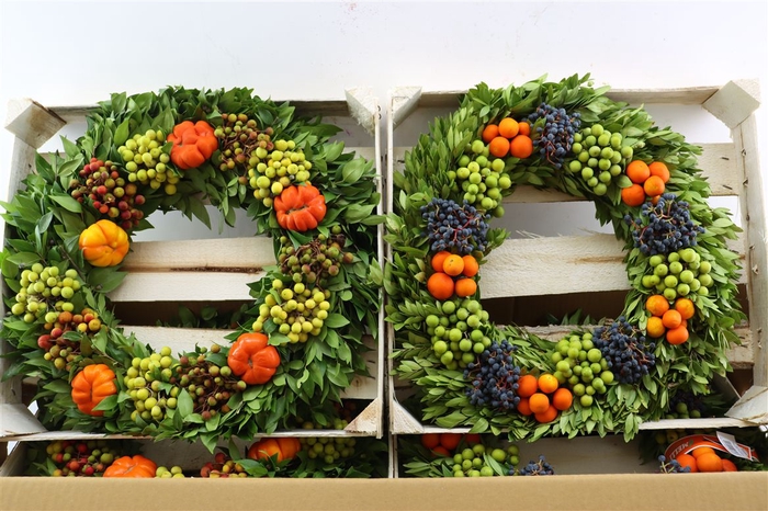 <h4>Wr Sierfruit 40cm ( Melli)</h4>