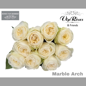 R GR MARBLE ARCH