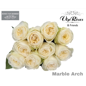 R GR MARBLE ARCH