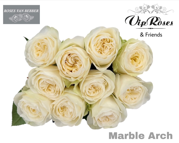 <h4>R Gr Marble Arch</h4>