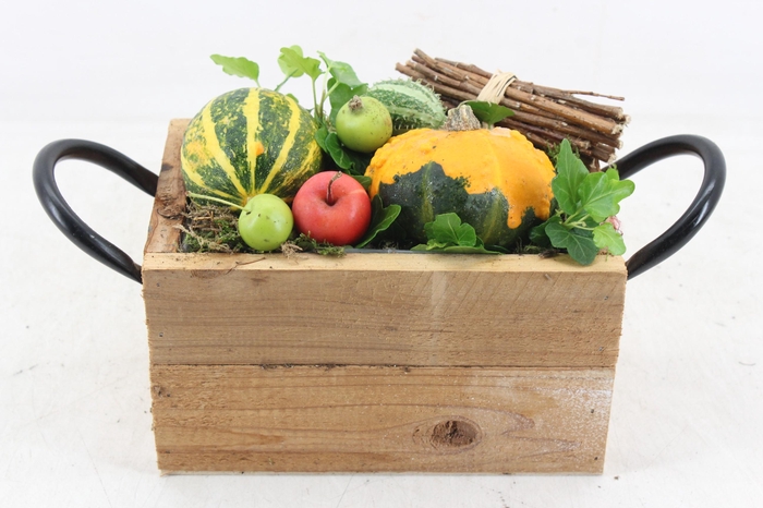 <h4>arr4 Sierfruit JS - Hout rechth. oor 338/3</h4>