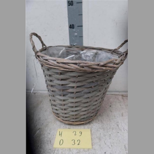 MAND GEVLOCHTEN D32XH29