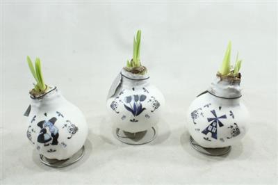 <h4>2029 DELFTSBLAUW</h4>