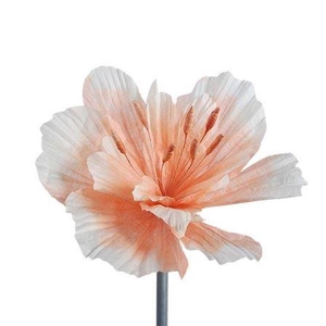 Stem Emperor Flower L50w50h50