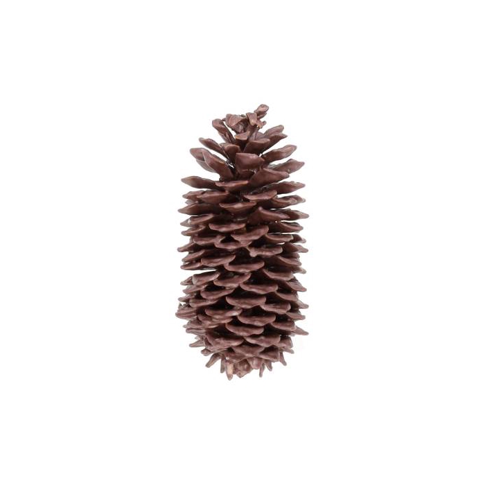 <h4>Pinecone Sugar Wax Slv L35</h4>