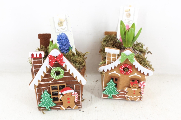 <h4>arr4 Hyacint FL - Gingerbread house</h4>