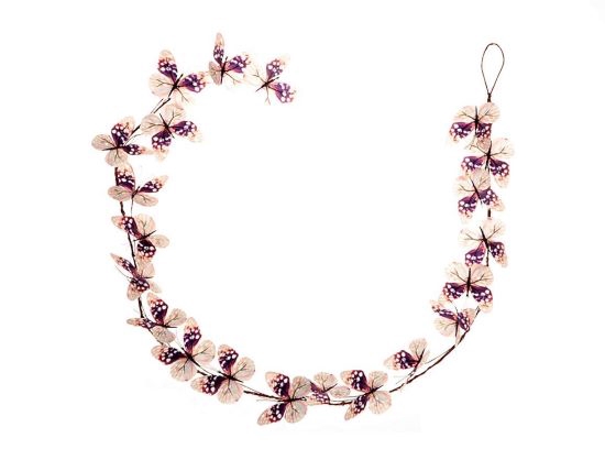 Garland Butterfly Caligo L153