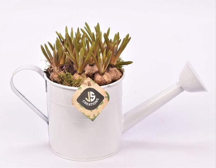 <h4>Zink gieter 13cm</h4>