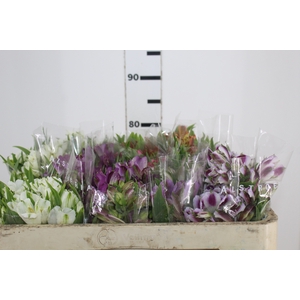 ALSTROEMERIA VARIADO 080 CM