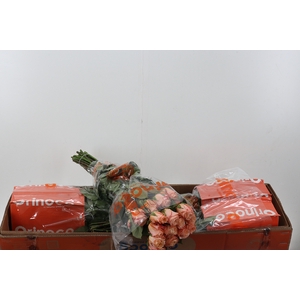 R Gr Shimmer Box CO