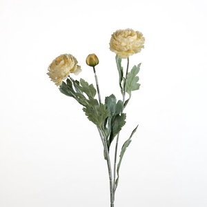 AF Ranunculus spr L52cm cream