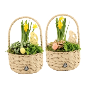 70876: Easter arrangement