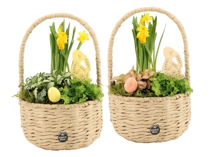 <h4>70876: Easter arrangement</h4>