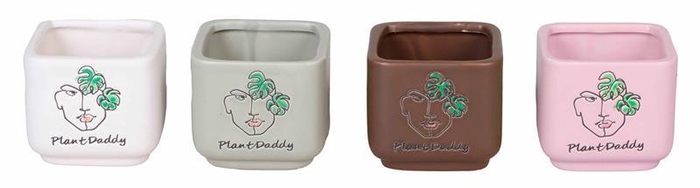 <h4>DIVERSE P6 L 832 PLANT DAD</h4>