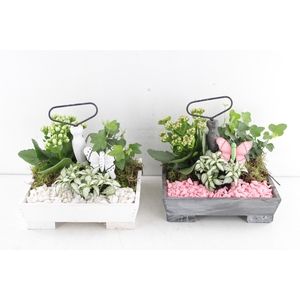 ARR2 PL ETAGERE VIERKANT - ROZE/WIT