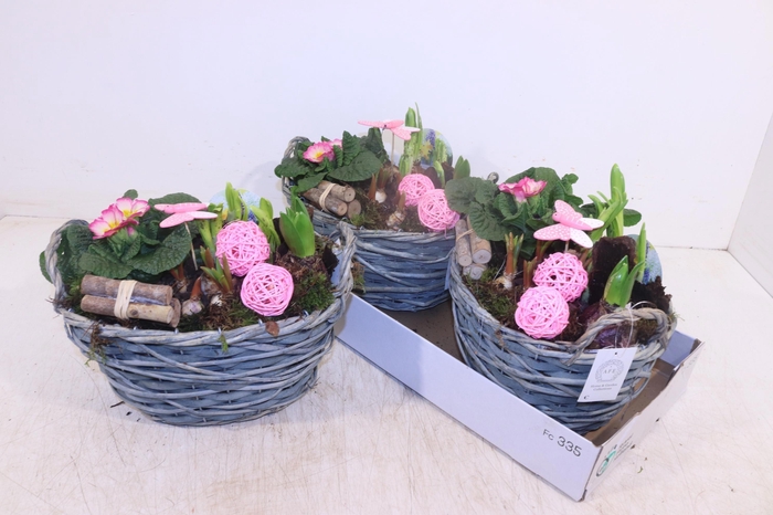 <h4>ARR TUINPLANTEN</h4>