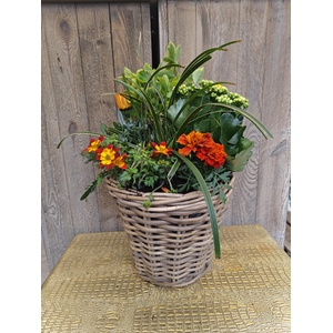 Panier extérieur 8