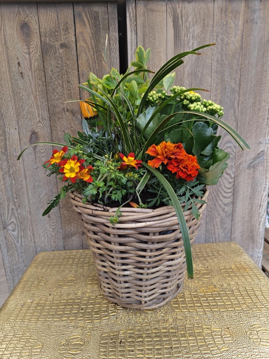 <h4>Panier extérieur 8</h4>