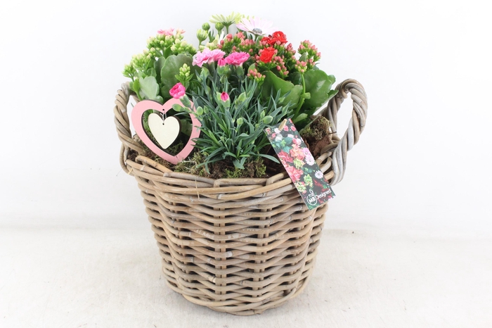 <h4>arr4 Outdoor MB - Kubu mand hoog XL</h4>