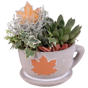 Autumn Arr. Indoor Concrete Cup with leaf Ø17cm 3PP