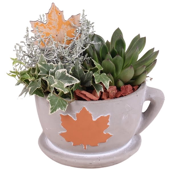 <h4>Autumn Arr. Indoor Concrete Cup with leaf Ø17cm 3PP</h4>