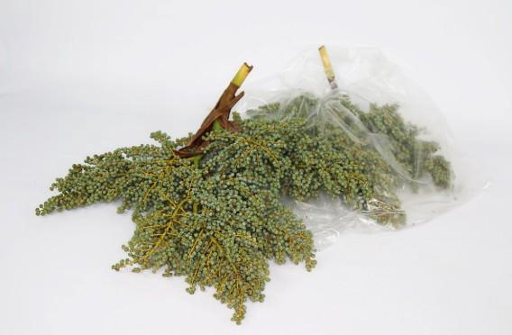 <h4>DADELS PER KILO</h4>