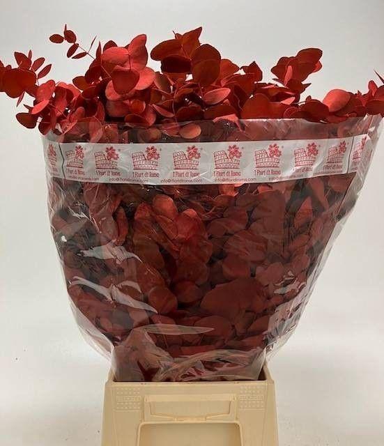 <h4>EUC CIN KLB P BOS H%</h4>