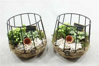 <h4>5268 Rond White Mand</h4>