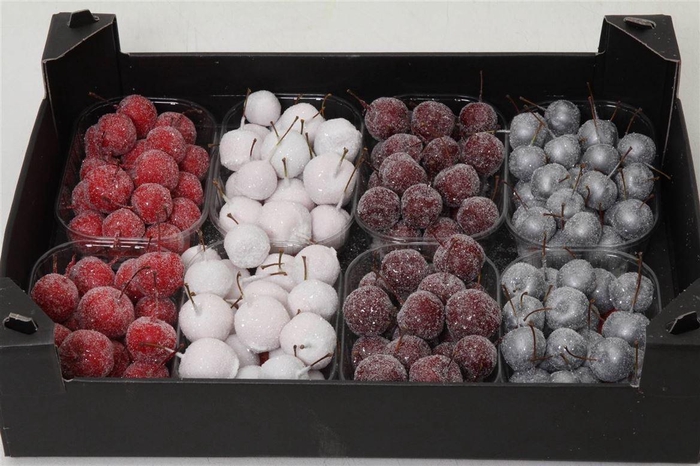 <h4>Appel (wax+gl) X8 Mix</h4>