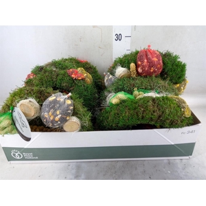 Decoratie ..Vogelzaadfiguur