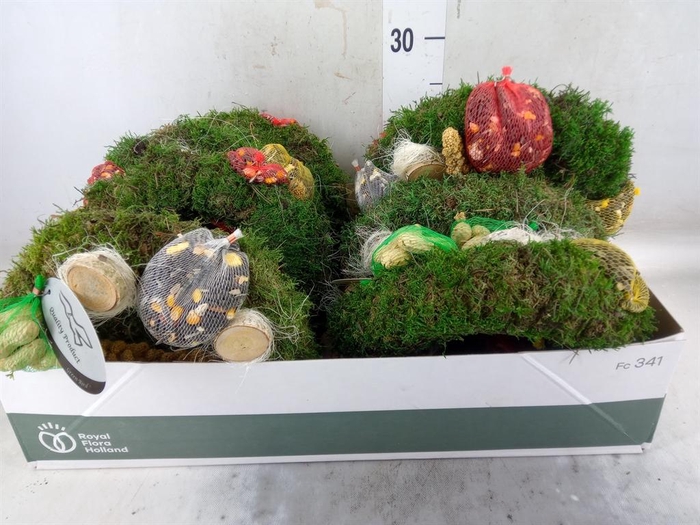 <h4>Decoratie  ..Vogelzaadfiguur</h4>