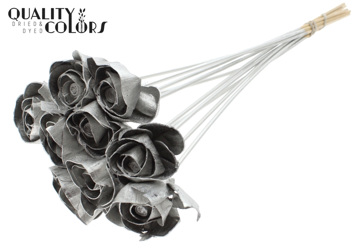 Shola Dear Holly 6cm on stem Platina