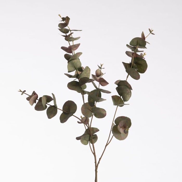 AF Eucalyptus L99cm Gr/Rd